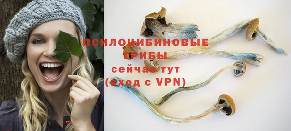 твердый Абаза
