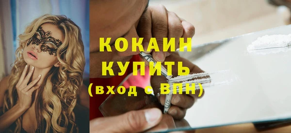 твердый Абаза