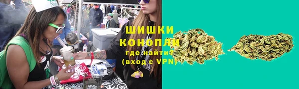 твердый Абаза