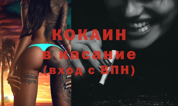 твердый Абаза